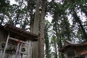 坪沼八幡神社の秋-016