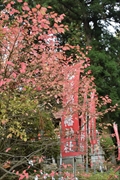 坪沼八幡神社の秋-025