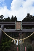 坪沼八幡神社の春-008