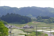 坪沼八幡神社の夏-002