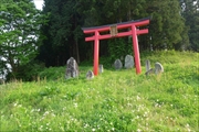 坪沼八幡神社の夏-005