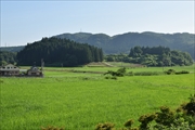 坪沼八幡神社の夏-022