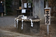 坪沼八幡神社の冬-007