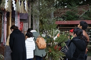 坪沼八幡神社の冬-016