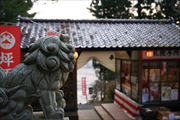 坪沼八幡神社の冬-024